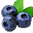 myrtille